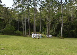 Group of people hiking through forest